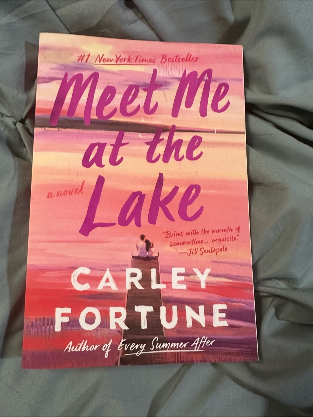 📚4 FOR $30 BOOK SALE - "Meet Me at the Lake" - Carley Fortune
